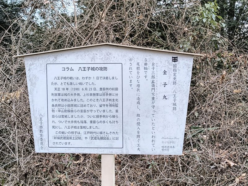 金子丸跡